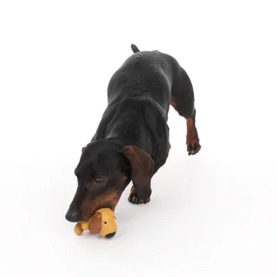 Bassotto nero gioca con un cane di peluche giallo in bocca.
