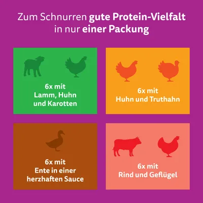 Multipack Whiskas Tasty Mix Portionsbeutel 48 x 85 g