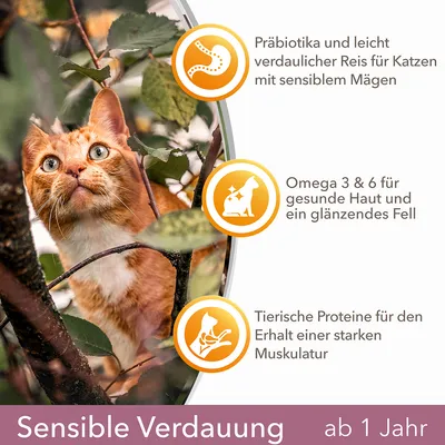 Saksankielinen teksti: Präbiotika und leicht verdaulicher Reis für Katzen mit sensiblem Magen, Omega 3 & 6 für gesunde Haut und ein glänzendes Fell, Tierische Proteine für den Erhalt einer starken Muskulatur. Sensible Verdauung ab 1 Jahr.