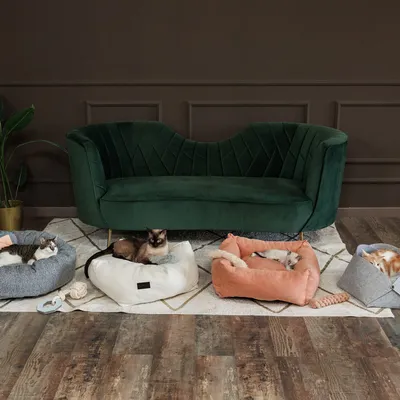 Modern Living Philadelphia Letto per gatti