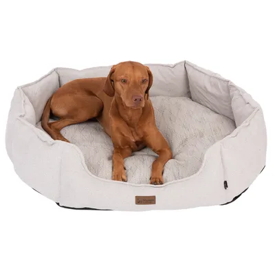 Hund ligger i en oval, vadderad hundbädd med ljust tygöverdrag och kviltad innerkudde. Märketiketten 'Modern Living' synlig.