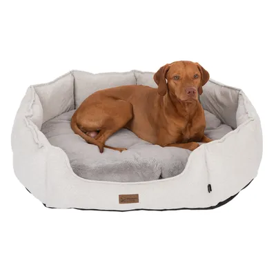 Hund ligger i en beige hundbädd med mjuk, grå innervaddering och etikett 'Modern Living'.