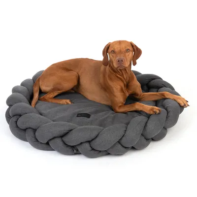 Grå, rund hundbädd med flätad kant och vadderad liggyta. Hund ligger avslappnat på den.