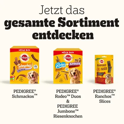 Pedigree Mega Box Schmackos, Rodeo Duos és Jumbone óriáscsonttal, valamint Pedigree Ranchos Slices.