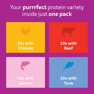 Whiskas 1+ Mixed Menu in Jelly