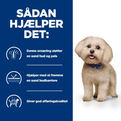 Ernæring understøtter sund hud og pels, fremmer en sund hudbarriere og sikrer god afføringskvalitet. Hund ved siden af infografik. Ernæring understøtter sund hud og pels, fremmer en sund hudbarriere og sikrer god afføringskvalitet. Hund ved siden af infografik.