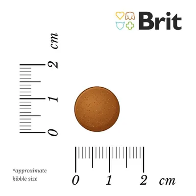 Brit Fresh Puppy Large Vită cu dovleac