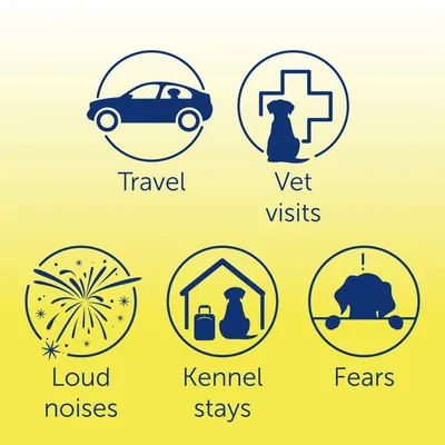Icons with text: Travel, Vet visits, Loud noises, Kennel stays, Fears. Indicates situations addressed by the product.