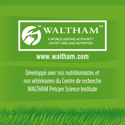 WALTHAM. A world leading authority on pet care and nutrition. www.waltham.com. Développé avec nos nutritionnistes et vétérinaires du Centre de recherche WALTHAM Petcare Science Institute.