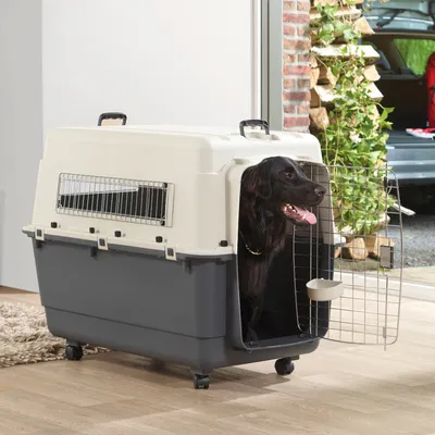 Caisse de transport en plastique avec porte grillagée ouverte, roulettes et poignée, chien noir assis à l’intérieur. Gamelle fixée à la porte visible.