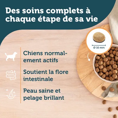Des soins complets à chaque étape de sa vie. Chiens normalement actifs. Soutient la flore intestinale. Peau saine et pelage brillant. Croquette Ø 16 mm visible.