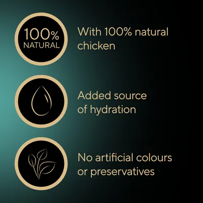 Sheba Classic Soups Saver Pack 40 x 40g