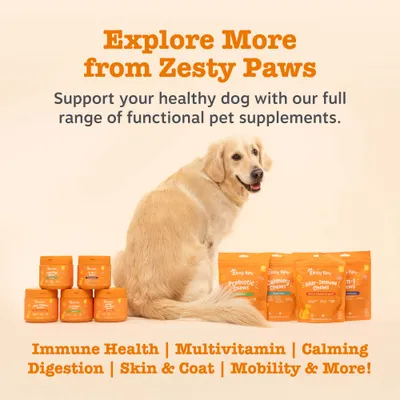 Zesty Paws prehranska dopolnila za pse: za imunski sistem, multivitamin, pomirjanje, prebavo, kožo in dlako, gibljivost. Podprite svojega psa s funkcionalnimi dodatki. Zesty Paws prehranska dopolnila za pse: za imunski sistem, multivitamin, pomirjanje, prebavo, kožo in dlako, gibljivost. Podprite svojega psa s funkcionalnimi dodatki.