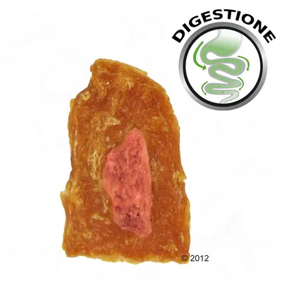 Snack per cani con centro rosa e bordo marrone, simbolo a spirale con frecce verdi e testo DIGESTIONE in alto a destra.