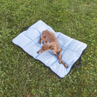 Pies leży na jasnoniebieskiej, wyściełanej macie z uchwytami do przenoszenia, umieszczonej na zielonej trawie.