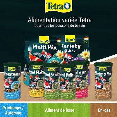 Tetra alimentation variée pour tous les poissons de bassin. Illustré : Multi mix, Variety sticks, Wheatgerm sticks, Pond flakes, Pond sticks, Pond pellets mini, Colour sticks, Shrimp mix. Tetra alimentation variée pour tous les poissons de bassin. Illustré : Multi mix, Variety sticks, Wheatgerm sticks, Pond flakes, Pond sticks, Pond pellets mini, Colour sticks, Shrimp mix.
