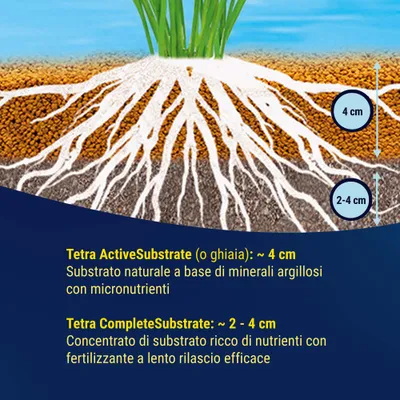 Grafica con radici, mostra Tetra ActiveSubstrate ca. 4 cm e Tetra CompleteSubstrate ca. 2-4 cm come strati per il fondo dell’acquario, testo su substrati minerali e ricchi di nutrienti. Grafica con radici, mostra Tetra ActiveSubstrate ca. 4 cm e Tetra CompleteSubstrate ca. 2-4 cm come strati per il fondo dell’acquario, testo su substrati minerali e ricchi di nutrienti.