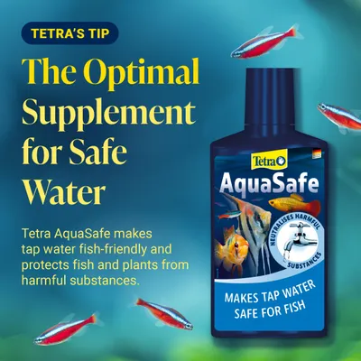 Tetra AquaSafe makes tap water fish-friendly and protects fish as well as plants from harmful substances. The ideal addition for safe water.