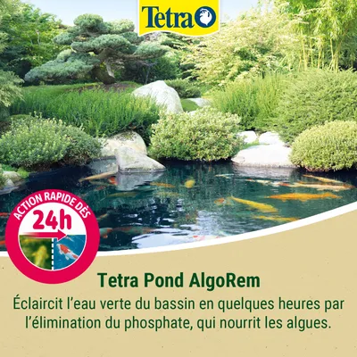 Tetra Pond AlgoRem. Action rapide dès 24 h, clarifie l’eau verte de l’étang en éliminant le phosphate qui nourrit les algues. Tetra Pond AlgoRem. Action rapide dès 24 h, clarifie l’eau verte de l’étang en éliminant le phosphate qui nourrit les algues.