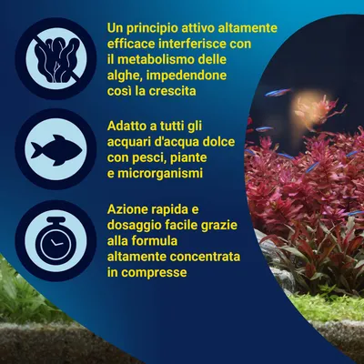 Descrizione del prodotto: Il principio attivo inibisce la crescita delle alghe, adatto per acquari d'acqua dolce con pesci, piante e microrganismi, azione rapida e facile dosaggio in forma di compresse. Descrizione del prodotto: Il principio attivo inibisce la crescita delle alghe, adatto per acquari d'acqua dolce con pesci, piante e microrganismi, azione rapida e facile dosaggio in forma di compresse.