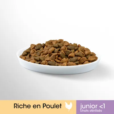 Croquettes dans une assiette blanche, texte visible : Riche en Poulet, junior <1 chats stérilisés