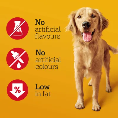 Text på engelska: No artificial flavours, No artificial colours, Low in fat. Tre röda symboler bredvid texten och en hund synlig till höger.
