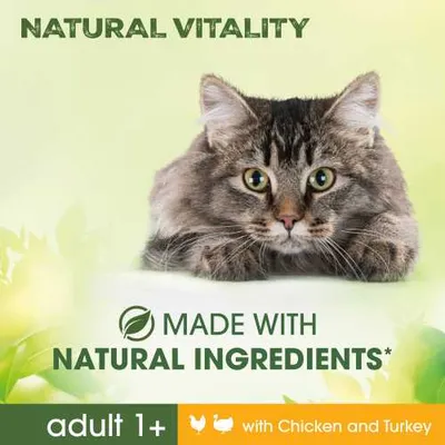 Testo in inglese: Natural Vitality, Made with natural ingredients, adult 1+, with chicken and turkey. Immagine di un gatto a pelo lungo su sfondo verde chiaro.