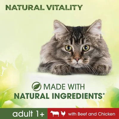 Testo in inglese: NATURAL VITALITY, MADE WITH NATURAL INGREDIENTS, adult 1+, with Beef and Chicken. Immagine di un gatto a pelo lungo su sfondo verde chiaro.