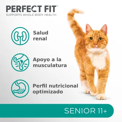 PERFECT FIT. Salud renal, apoyo a la musculatura, perfil nutricional optimizado. SENIOR 11+. Imagen de un gato naranja y blanco.