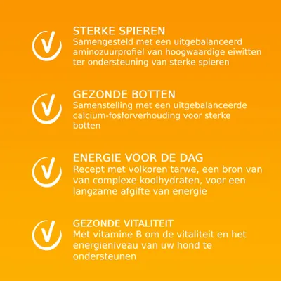 STERKE SPIEREN: uitgebalanceerd aminozuurprofiel; GEZONDE BOTTEN: calcium-fosforverhouding; ENERGIE VOOR DE DAG: volkoren tarwe; GEZONDE VITALITEIT: vitamine B voor vitaliteit hond.