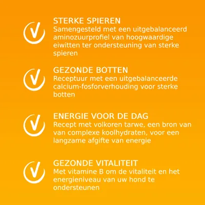 Sterke spieren, gezonde botten, energie voor de dag en gezonde vitaliteit: claims over aminozuren, calcium-fosfor, volkoren tarwe en vitamine B ter ondersteuning van honden.