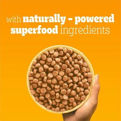 Bowl of kibble with text stating: with naturally-powered superfood ingredients.