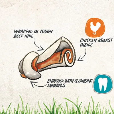 Illustration showing a chew wrapped in tough beef hide, chicken breast inside, and enriched with cleansing minerals, as highlighted by text and icons in the image.