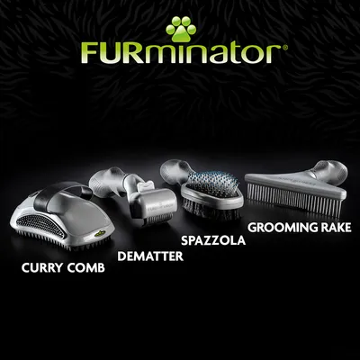 FURminator: curry comb, dematter, spazzola e grooming rake mostrati in fila. Nomi degli strumenti visibili sotto ciascun prodotto.