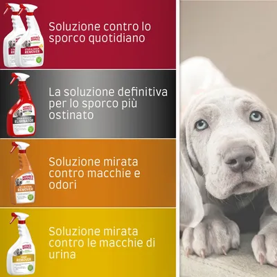 Soluzione contro lo sporco quotidiano, soluzione definitiva per lo sporco più ostinato, soluzione mirata contro macchie e odori, soluzione mirata contro le macchie di urina.