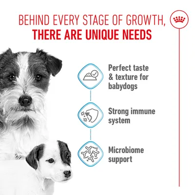 Perfect taste & texture for puppies, Strong immune system, Microbiome support. Two dogs pictured. Note on different needs in each growth phase. Perfect taste & texture for puppies, Strong immune system, Microbiome support. Two dogs pictured. Note on different needs in each growth phase.