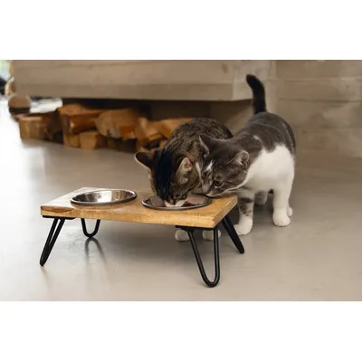 Designed by Lotte Linga vacsorázó szett