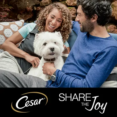 Cesar brand with the text 'Share the Joy' shown below a dog sitting between two people on a sofa outdoors.