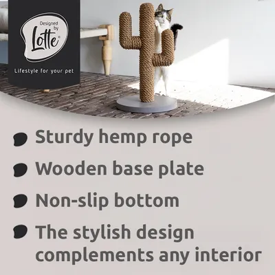 Designed by Lotte -raapimistolppa kaktus