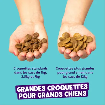 Comparaison de croquettes standard en sacs de 1kg, 2,5kg et 7kg avec de grandes croquettes pour grands chiens en sacs de 12kg. Texte : Grandes croquettes pour grands chiens.