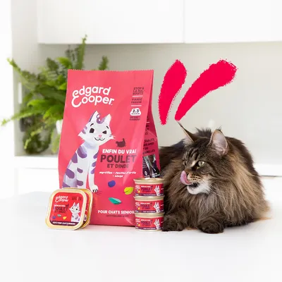 Edgard Cooper kattenvoer voor senioren, kip en kalkoen. Verpakking met zak, blik en schaal zichtbaar. Kat naast producten.