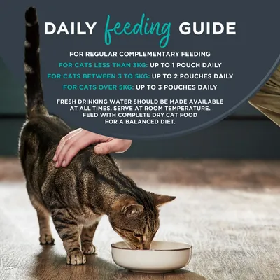 Encore Cat Jelly Pouch Multipack 20 x 50g