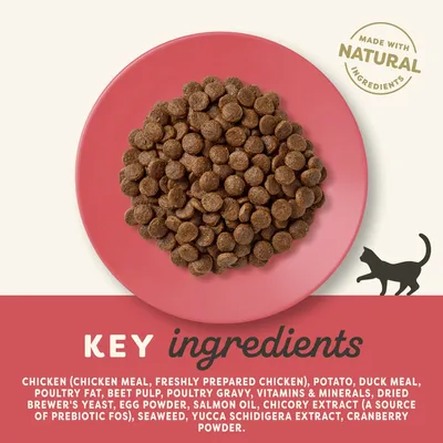 Key ingredients listed: chicken, potato, duck meal, poultry fat, beet pulp, poultry gravy, vitamins, minerals, brewer's yeast, egg powder, salmon oil, chicory extract, seaweed, cranberry powder.