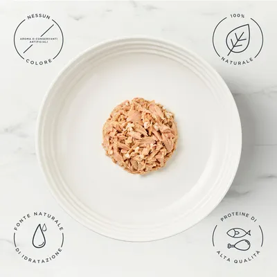 Provalo! Set misto Encore in Lattina 8 x 70 g Alimento umido per gatti