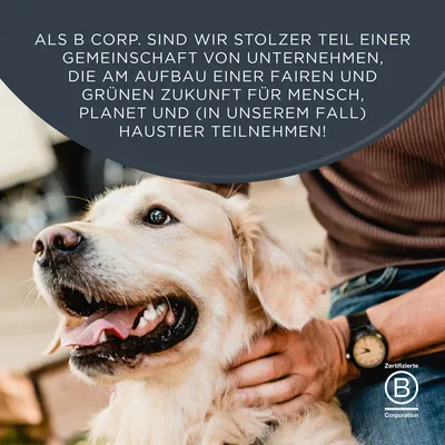 Sparpaket Encore Dog Gravy Pouch Mix 20 x 100 g