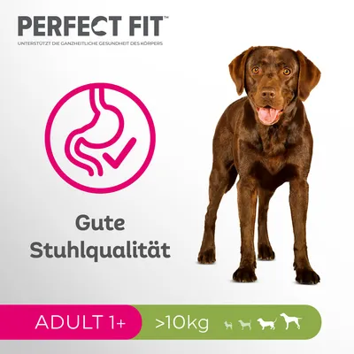 Perfect Fit Hundefutter für Erwachsene Hunde ab 1 Jahr, Gewicht über 10kg. Unterstützt gute Stuhlqualität.