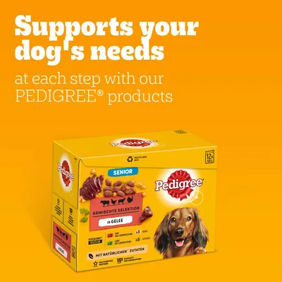 Testo: Supports your dog's needs at each step with our PEDIGREE products. Confezione Pedigree Senior Gemischte Selektion in Gelee, 12x100g, ingredienti naturali, proteine di alta qualità.