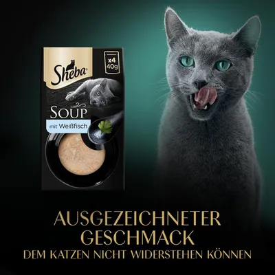 Sheba Soup mit Weißfisch, Packung x4 40g. Ausgezeichneter Geschmack, dem Katzen nicht widerstehen können.