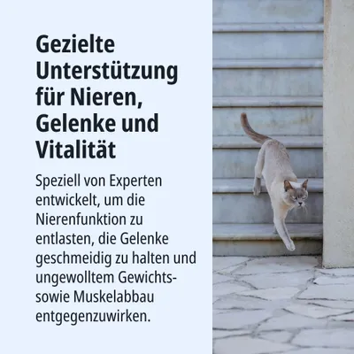 Gezielte Unterstützung für Nieren, Gelenke und Vitalität. Entwickelt zur Entlastung der Nierenfunktion, für geschmeidige Gelenke und gegen Gewichts- sowie Muskelabbau.