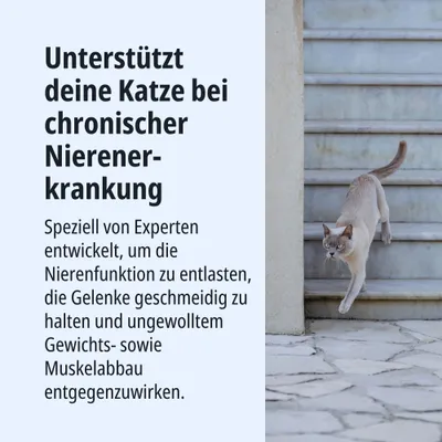 Unterstützt deine Katze bei chronischer Nierenerkrankung. Entwickelt zur Entlastung der Nierenfunktion, Gelenkpflege und Vorbeugung von Gewichts- sowie Muskelabbau.